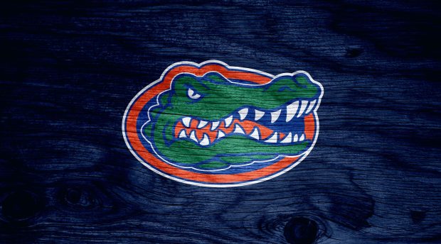 Florida Gators HD Wallpaper Free download.