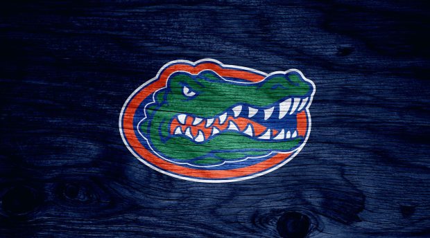 Florida Gators HD Wallpaper Free download.