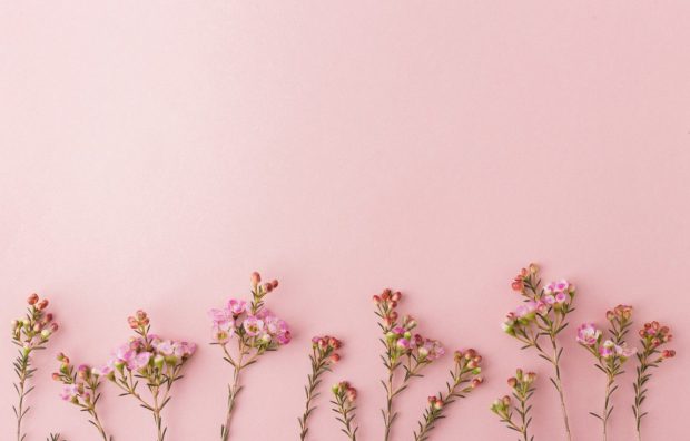 Flower Aesthetic Light Pink Backgrounds.