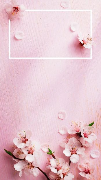 Flower Aesthetic Pink Iphone Wallpaper HD.
