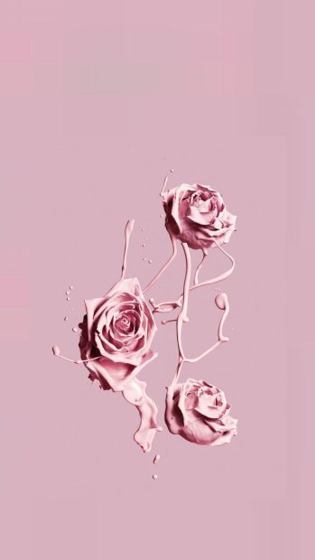Flower Aesthetic Pink Wallpaper Iphone HD.