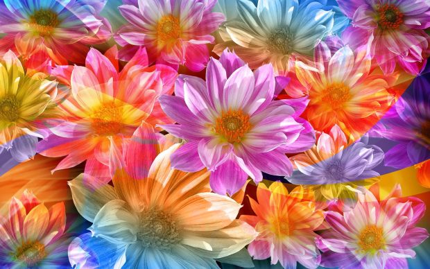 Flower Background HD.