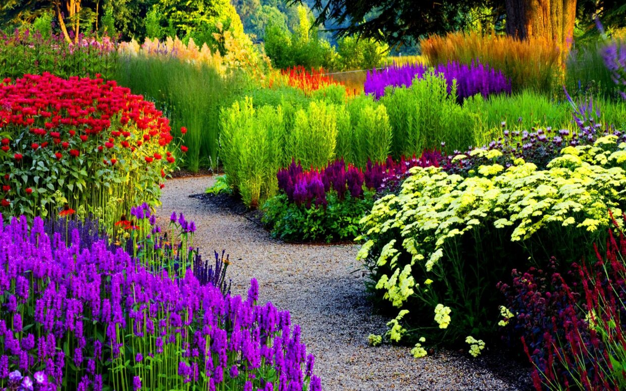 Garden HD Wallpapers - PixelsTalk