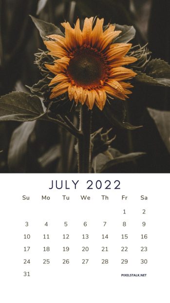 Flower July 2022 Calendar iPhone Wallpaper HD.