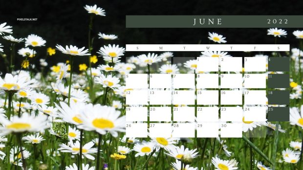 Flower June 2022 Calendar Wallpaper.