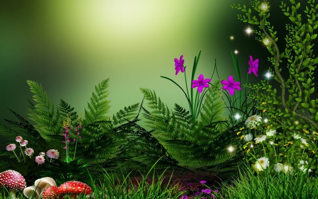 Flower Nature Wallpaper HD.
