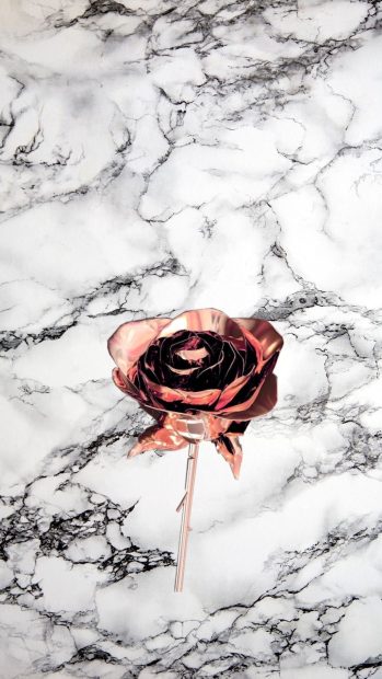 Flower Rose Gold Wallpaper Aesthetic HD.