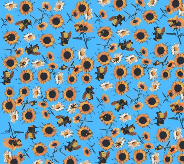 Flower Tyler The Creator Wallpaper HD.
