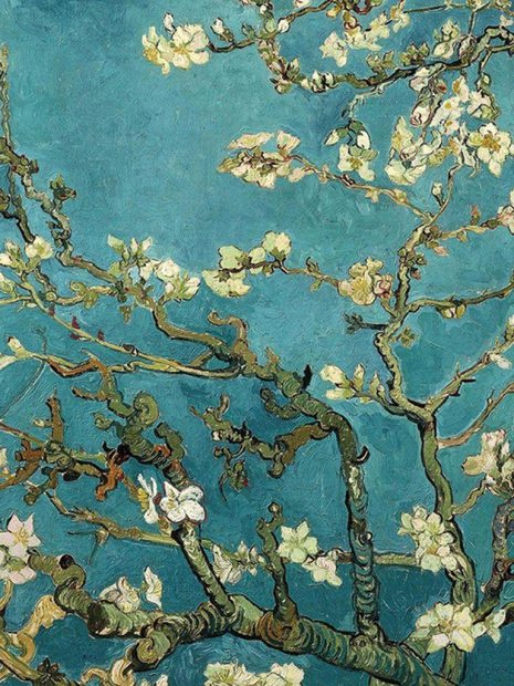 Flower Van Gogh Wallpaper HD.