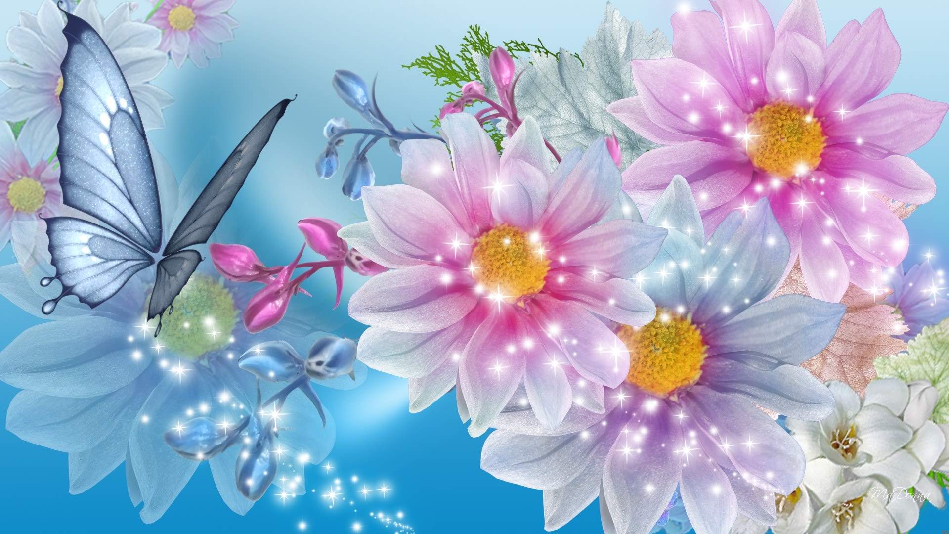 flowers wallpapers free download