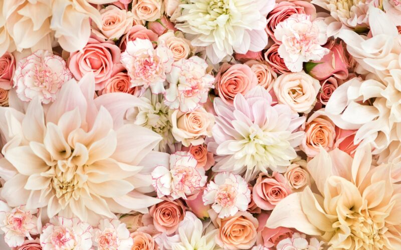 Flower HD Wallpapers - PixelsTalk