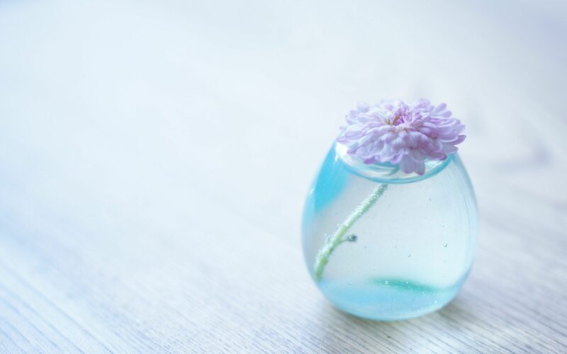 Flower HD Wallpapers - PixelsTalk