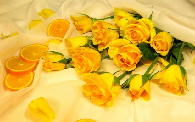 Flower Yellow Aesthetic Backgrounds HD.