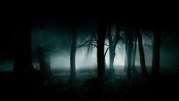 Forest Dark HD Backgrounds.