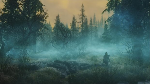 Forest Skyrim Wallpaper HD.