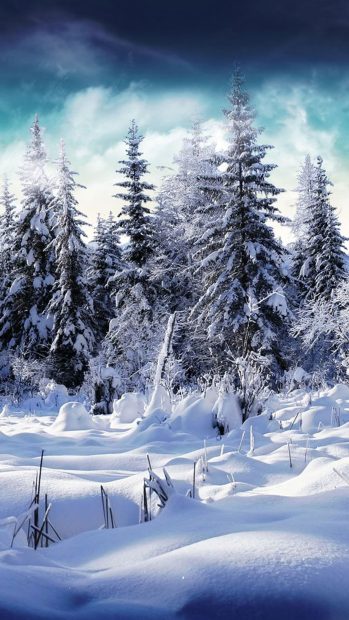 Free Download Winter iPhone Wallpaper 1080p.