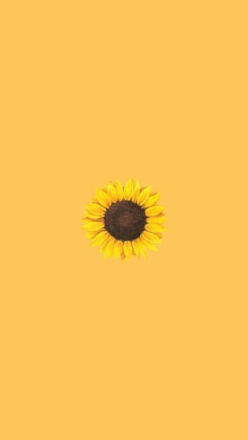 Free download Aesthetic Backgrounds Iphone Backgrounds.