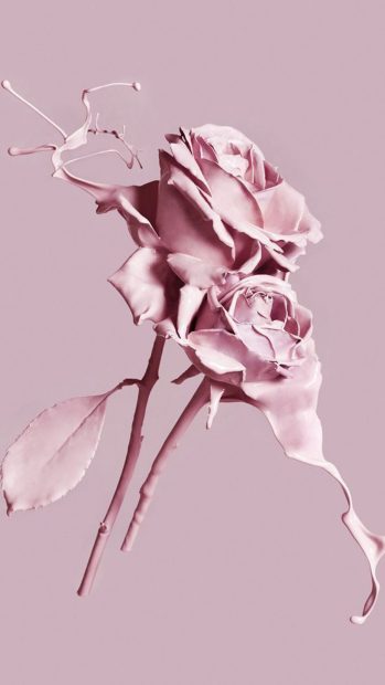 Free download Aesthetic Rose Wallpaper.