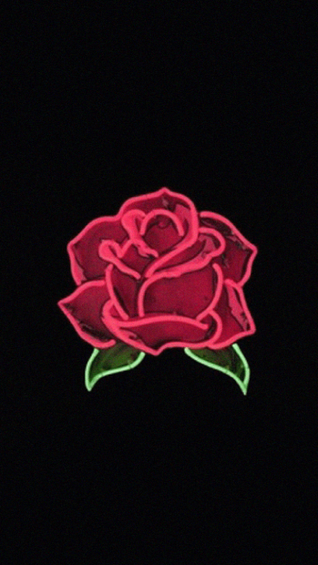 Free download Aesthetic Rose Wallpaper HD.