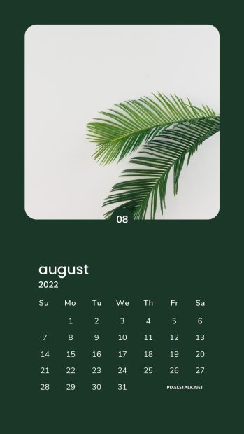 Free download August 2022 Calendar iPhone Wallpaper HD.