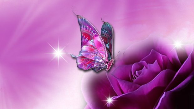 Free download Butterfly Aesthetic Image.
