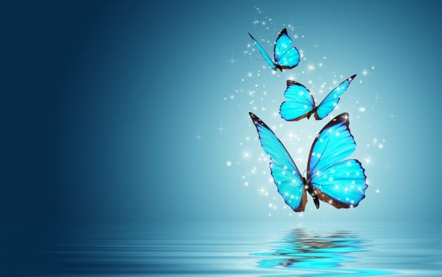 Free download Butterfly Aesthetic Wallpaper.