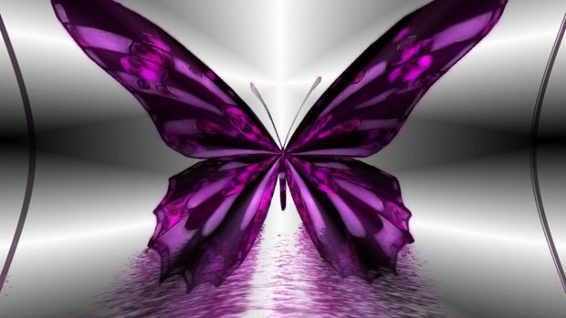 Free download Butterfly Aesthetic Wallpaper HD.