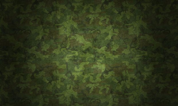 Free download Camouflage Image.