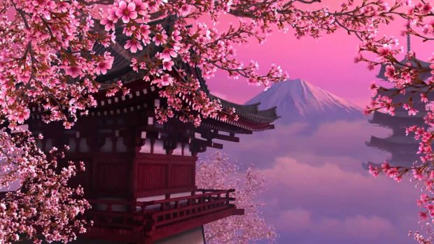 Free download Cherry Blossom Background.