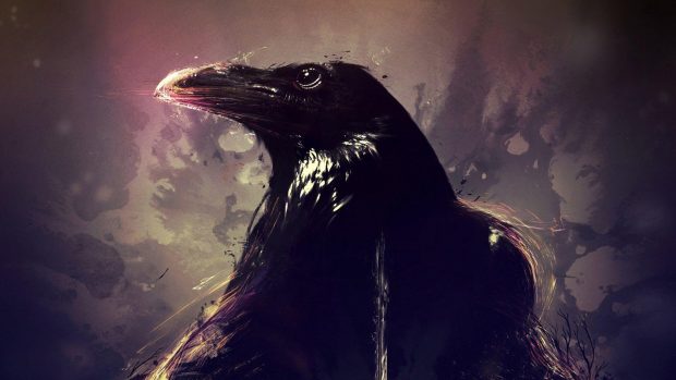 Free download Crow Wallpaper.