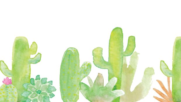Free download Cute Cactus Wallpaper HD.