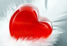 Free download Cute Heart Backgrounds HD.