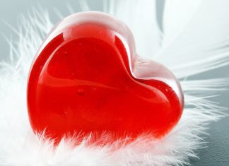 Free download Cute Heart Backgrounds HD.