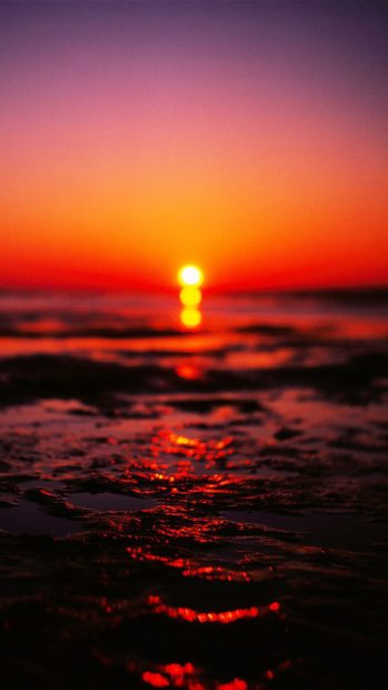Free download Cute Sunset Image.