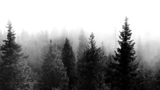 Free download Desktop Image aesthetic HD.