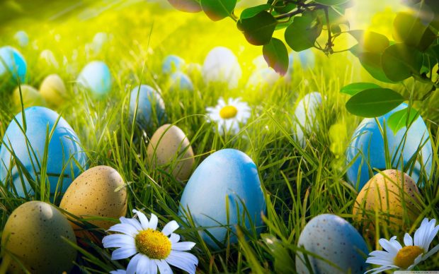 Free download Easter Egg Image.