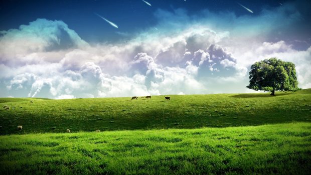 Free download Farm Wallpaper.