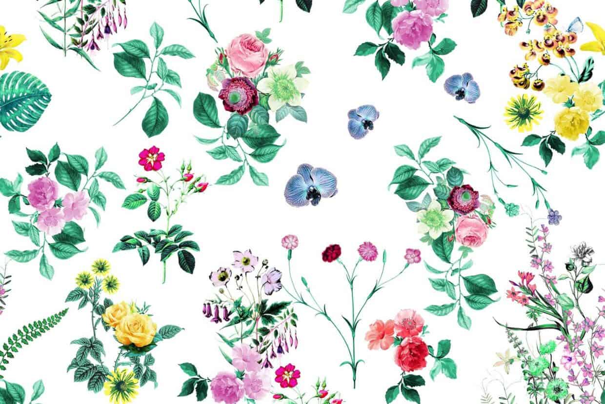 Floral Hd Backgrounds Pixelstalk