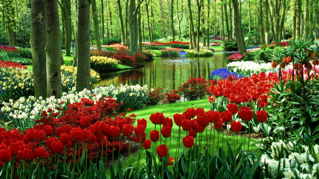Garden HD Wallpapers - PixelsTalk