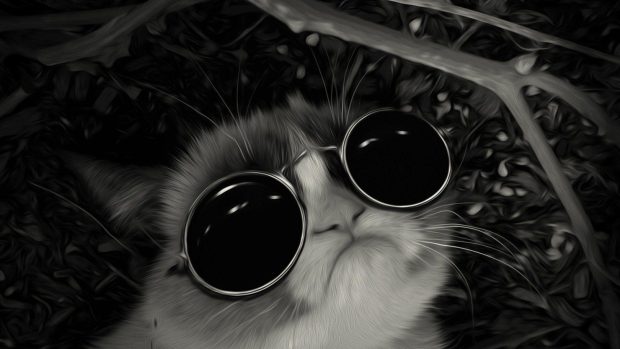 Free download Grumpy Cat Image.