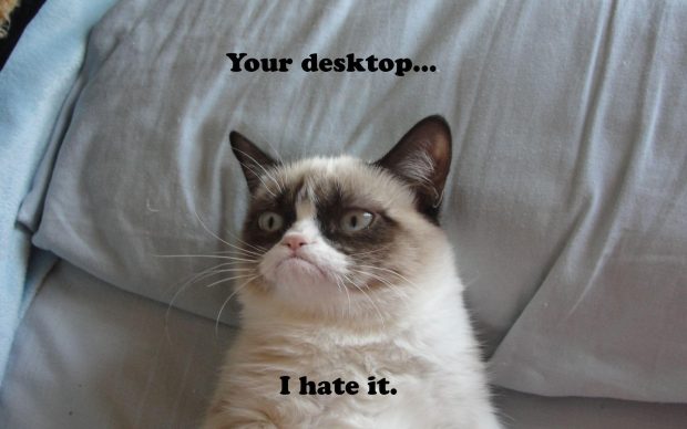 Free download Grumpy Cat Wallpapers.