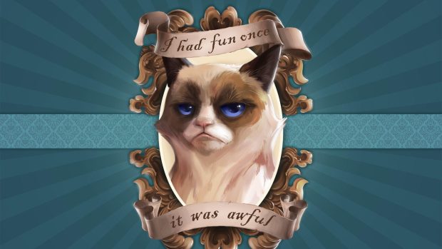 Free download Grumpy Cat Wallpapers HD.