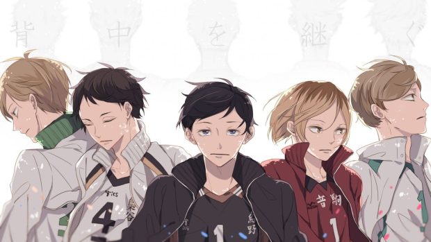 Free download Haikyuu Background HD.