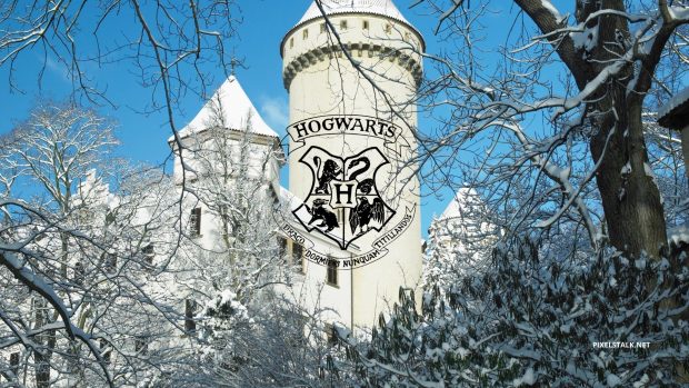Free download Harry Potter Winter Wallpaper HD.
