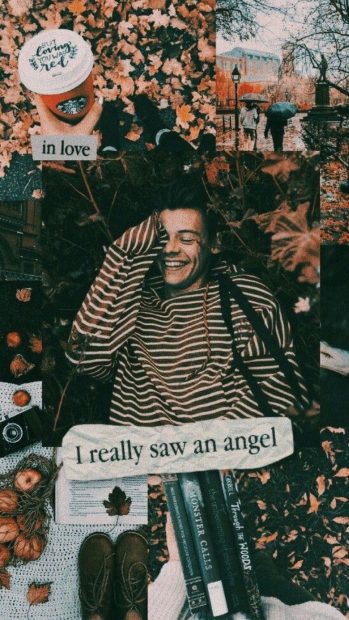 Free download Harry Styles Aesthetic Wallpaper.