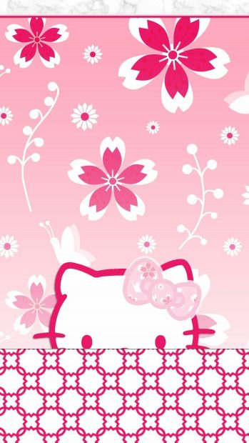 Free download Hello Kitty Aesthetic Backgrounds.