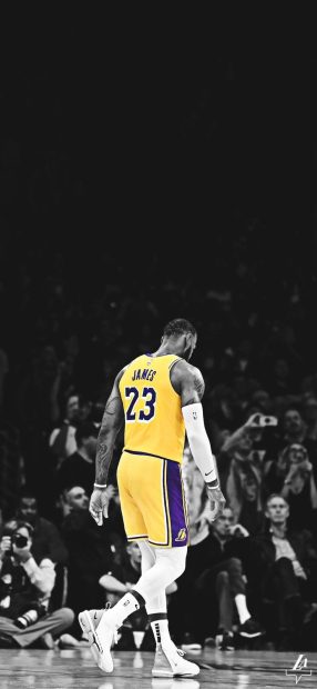 Free download Lebron James Image.