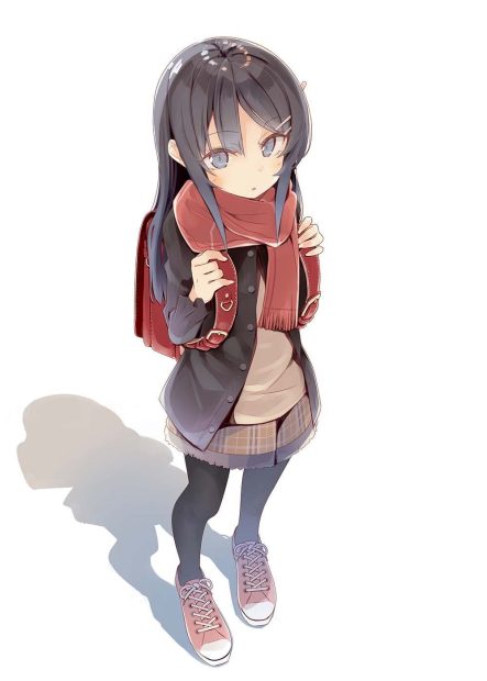 Free download Mai Sakurajima Image.