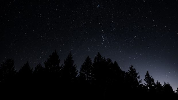 Free download Night Sky Image.