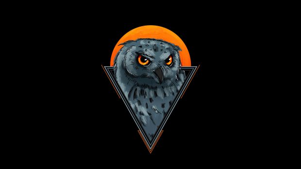 Free download Owl Wallpaper HD.